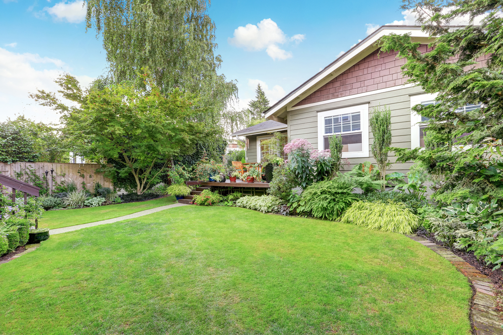 HOA Managed Backyard